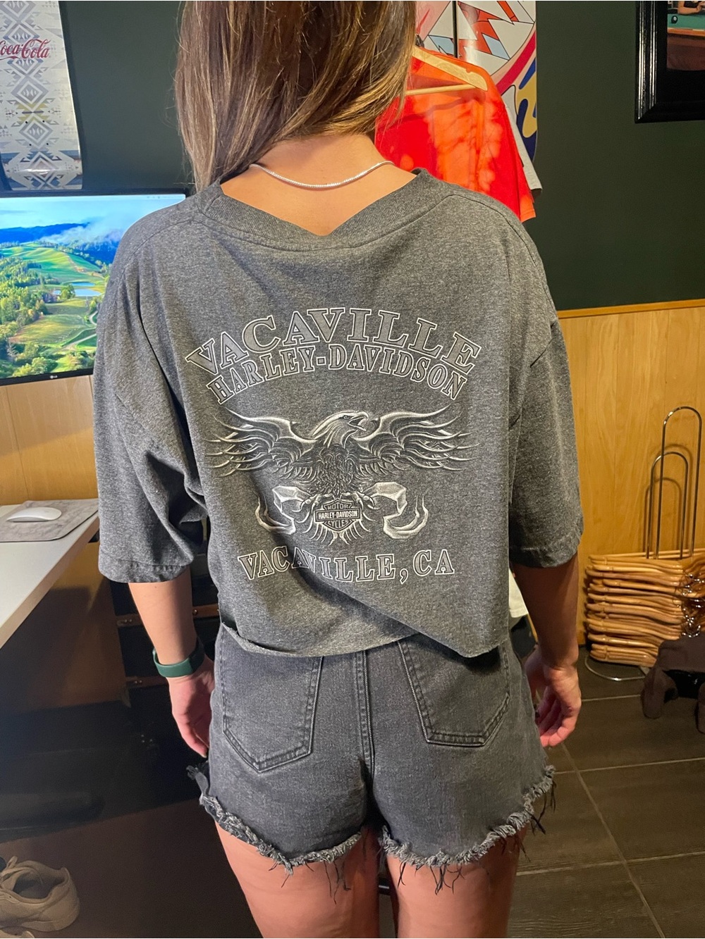 Vacaville, California Harley-Davidson Gray Cropped Logo Tee - Picture 4 of 8